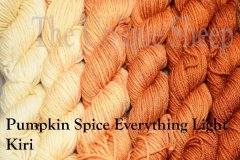 pumpkin-spice-everything-light